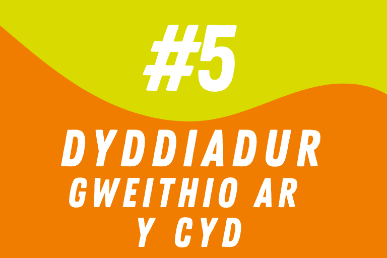 Dyddiadur #5